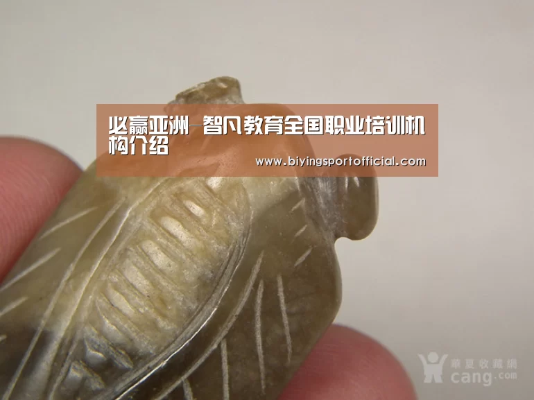 必赢亚洲-智凡教育全国职业培训机构介绍(图1) 必赢亚洲网址