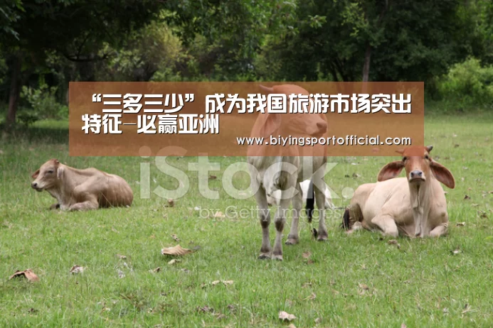 “三多三少”成为我国旅游市场突出特征-必赢亚洲(图1) 必赢亚洲直播