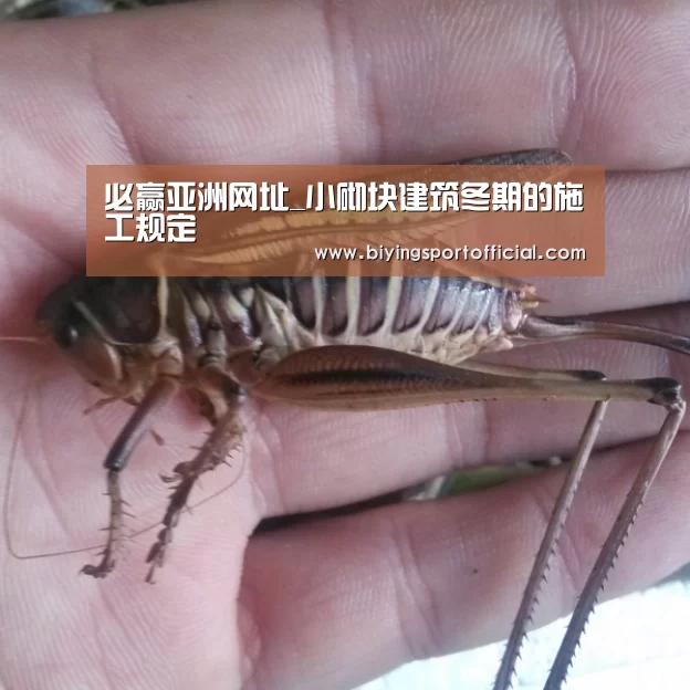 必赢亚洲网址_小砌块建筑冬期的施工规定(图1) 必赢亚洲直播