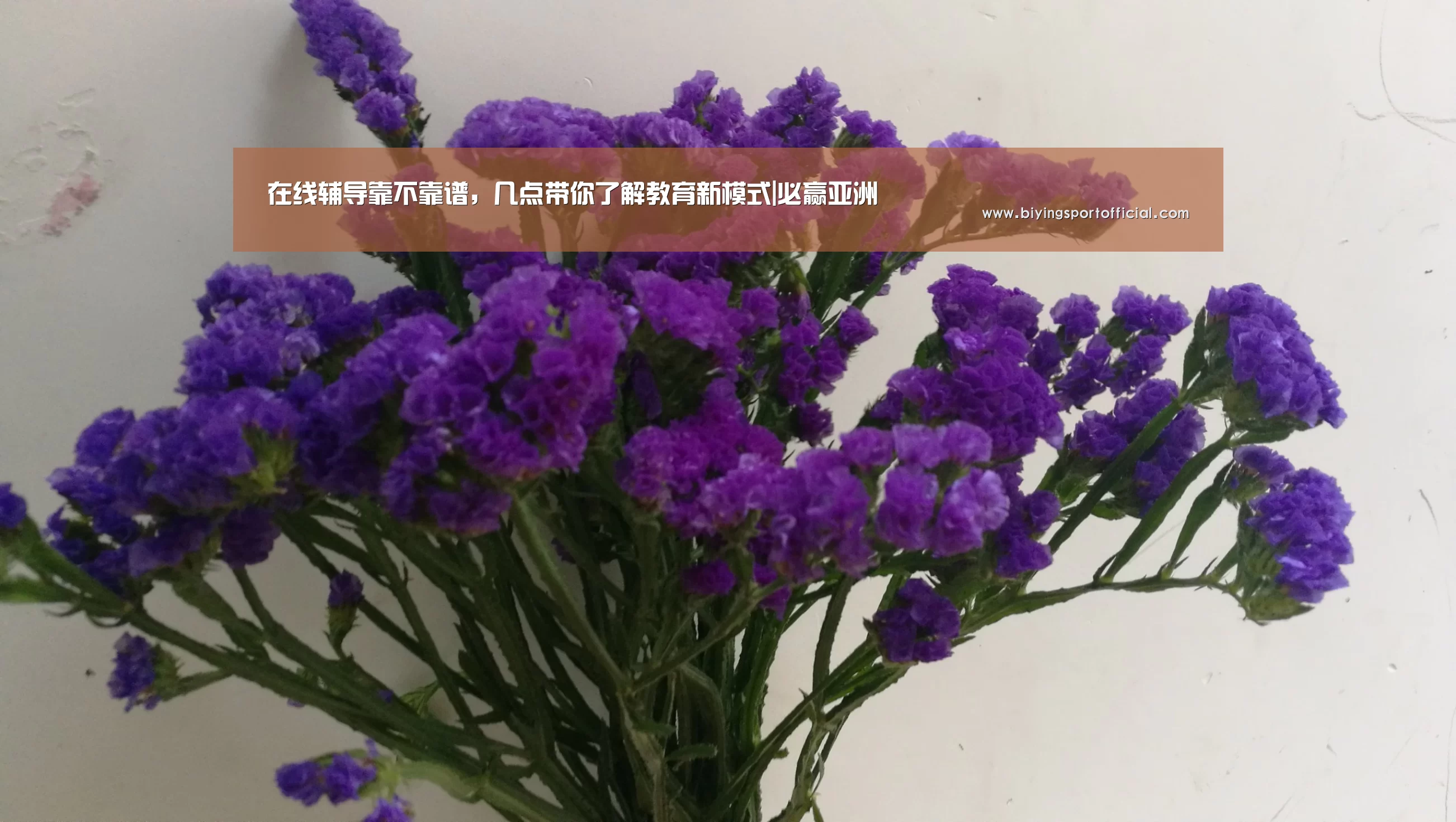 在线辅导靠不靠谱,几点带你了解教育新模式|必赢亚洲(图1) 必赢亚洲