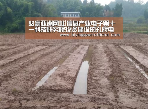 必赢亚洲网址|信息产业电子第十一科技研究院投资建设的孔府电站5.8MWp分布式光伏发电项目顺利并网发电(图1) 必赢亚洲直播