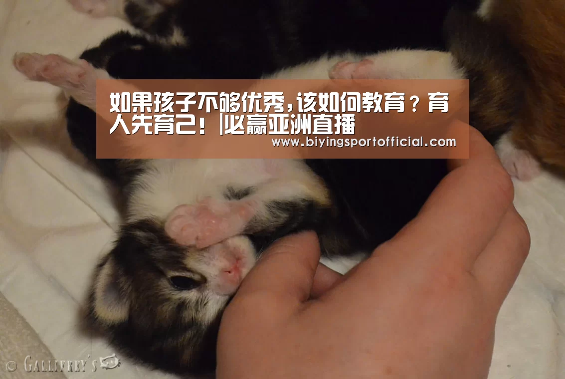 如果孩子不够优秀,该如何教育?育人先育己!|必赢亚洲直播(图1) 必赢亚洲直播