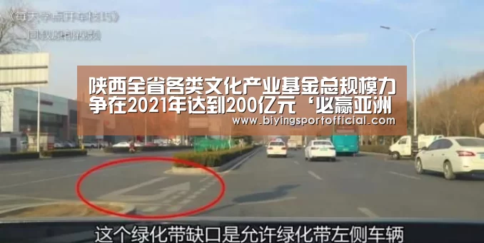 陕西全省各类文化产业基金总规模力争在2021年达到200亿元‘必赢亚洲官网’(图4) 必赢亚洲