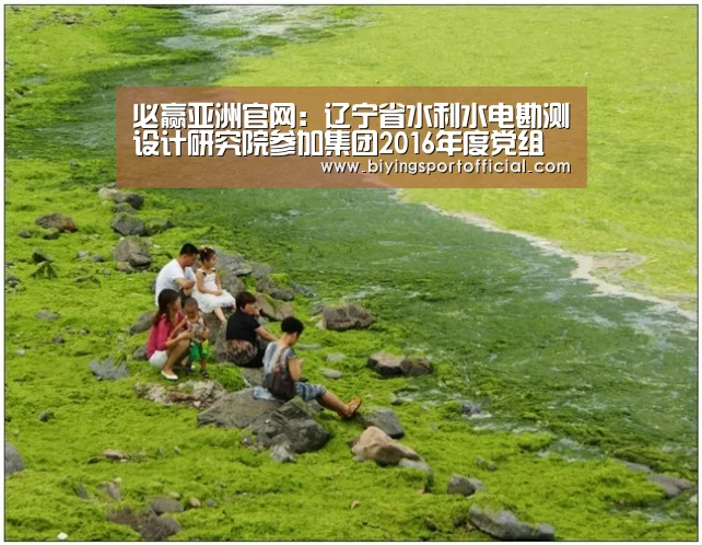 必赢亚洲官网:辽宁省水利水电勘测设计研究院参加集团2016年度党组织书记抓基层党建工作述职会议(图1) 必赢亚洲网址